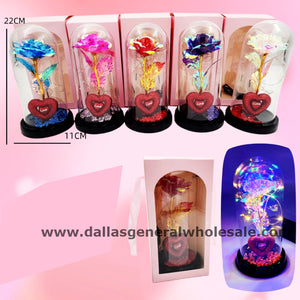 Enchanted Light Up Roses in Glass Dome Wholesale