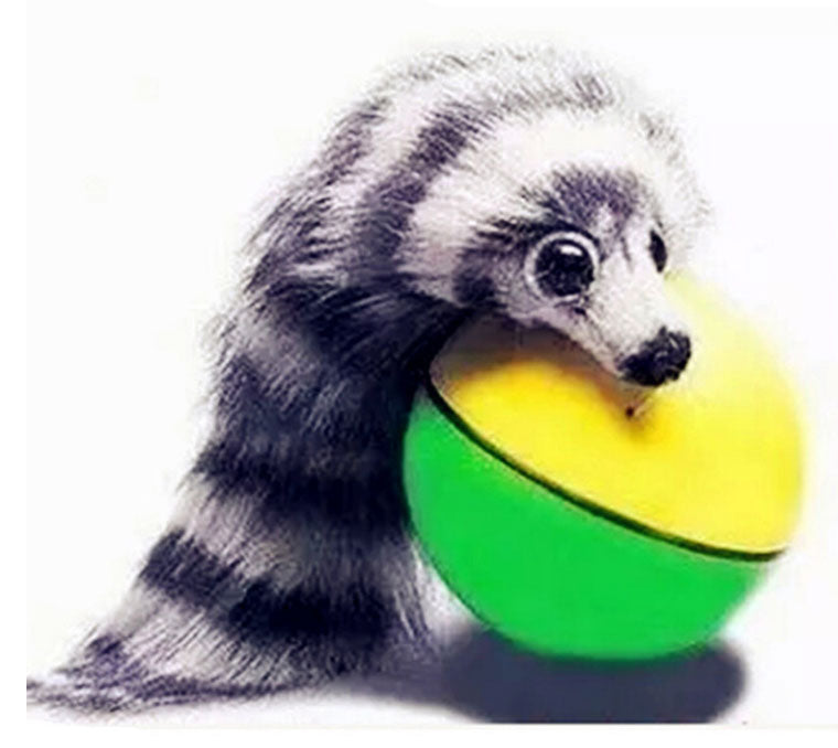 Toy Weasel Chasing Ball Wholesale - Dallas General Wholesale